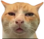 Emoji 420_stonedcat
