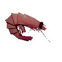 Emoji jumbo_shromp_137