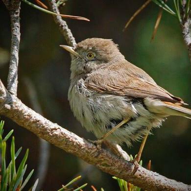 Avatar for Richard Drew