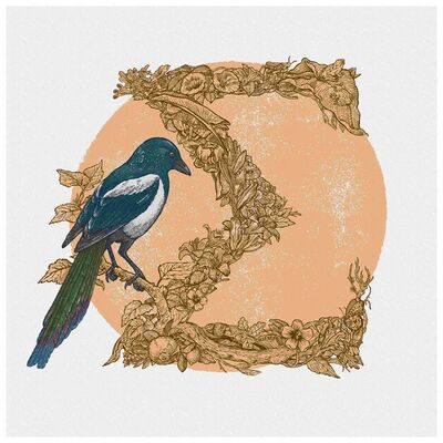 Avatar for Picanúmeros