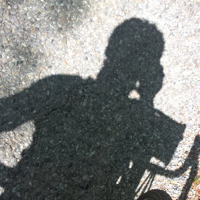 Avatar for Twobiscuits🚴‍♂️ :graz: