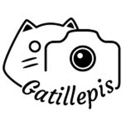 Avatar for Jordi Mallol i Comas