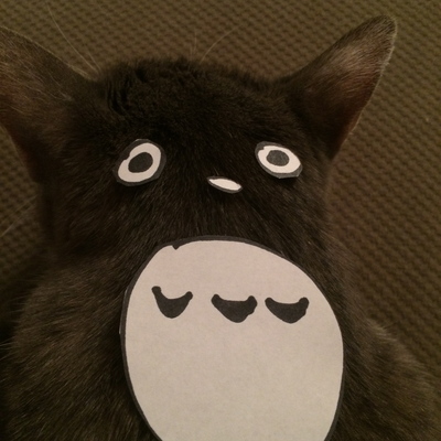 Avatar for Jason Baluyut