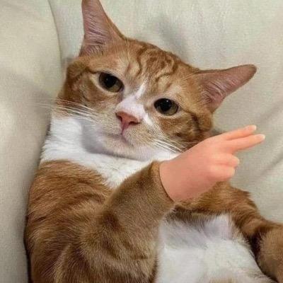 Avatar for the three-day monk