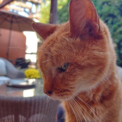 Avatar for Lot⁴⁹