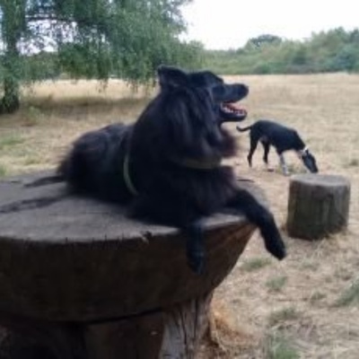 Avatar for @Radlerin