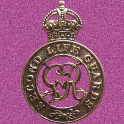 Avatar for Vick Forcella ™🌈🌳❄️☑️:verifi