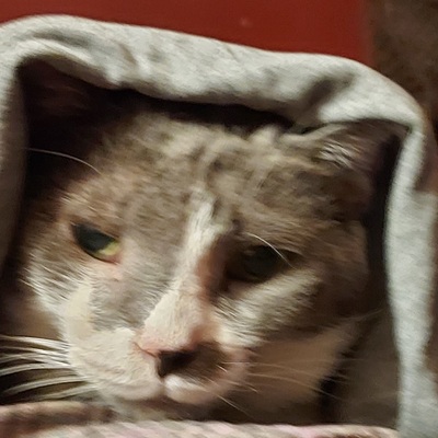 Avatar for John Timaeus