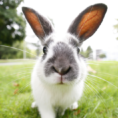 Avatar for Walter8100000 🇳🇱🇺🇦