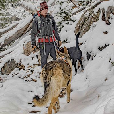 Avatar for Michael Richmond