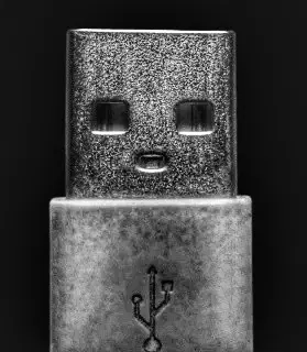 Avatar for Stomata 🥼