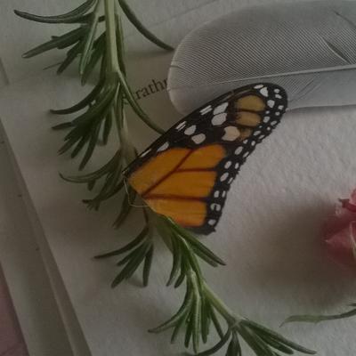 Avatar for ClaraBlackInk