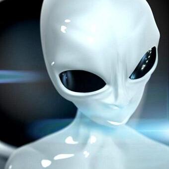 Avatar for Shawn Brink