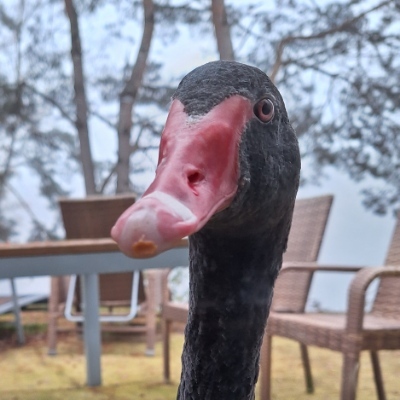 Avatar for Tim Finnerty