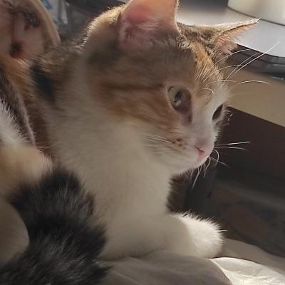 Avatar for Claudia :startrek: