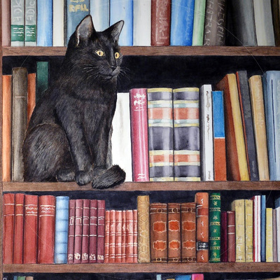 Avatar for logiciel libre Abelujo