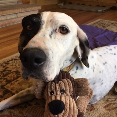 Avatar for Scooter8647 🇺🇦 🇳🇿