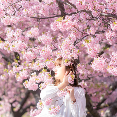 Avatar for sachihanamomo