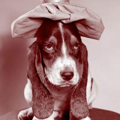 Avatar for Stanley Nerdlinger II