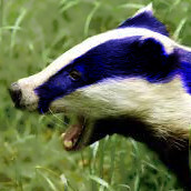 Avatar for Pete Alex Harris🦡🕸️🌲/∞🪐∫