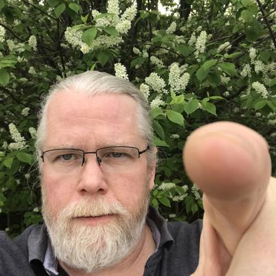 Avatar for WilliamBob