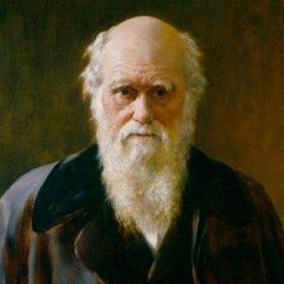 Avatar for dexternemrod