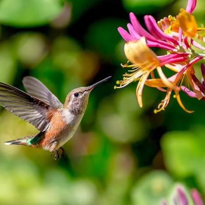 Avatar for Em & future cats 🇺🇦🐈🏳️‍🌈