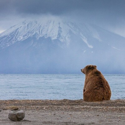 Avatar for Reading Recluse