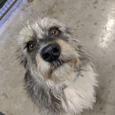 Avatar for Jesse McClure :progress_pride: