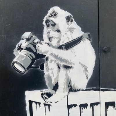 Avatar for The Cronista