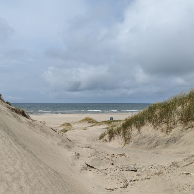 Avatar for jon saenz