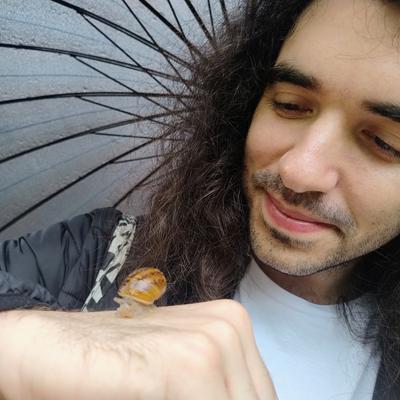 Avatar for Taxo Rubio:wq