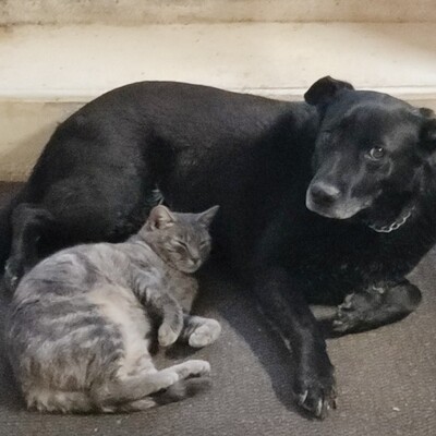 Avatar for Pascale_PH