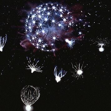 Avatar for peppujols