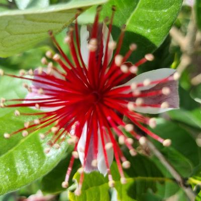 Avatar for @iveyline