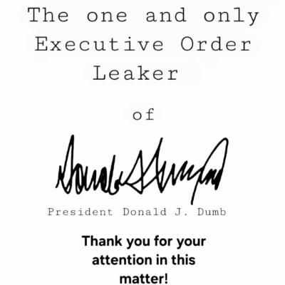 Avatar for The Executive Order Leaker