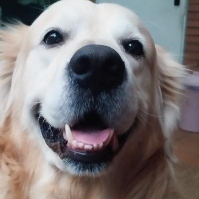 Avatar for Ibnussabel