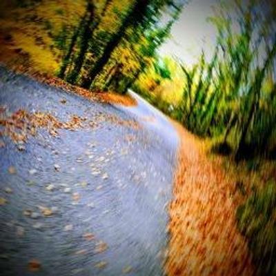 Avatar for Nick44 🇪🇺 🇮🇹