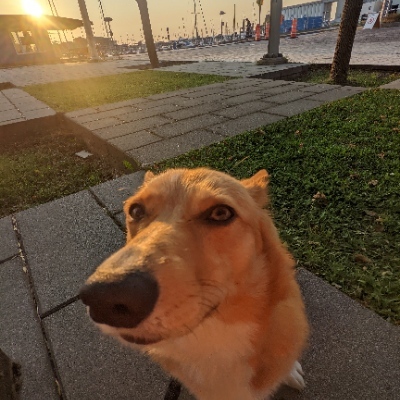 Avatar for Moxxi ❄️ 🌲