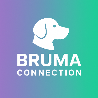 Avatar for Bruma Connection