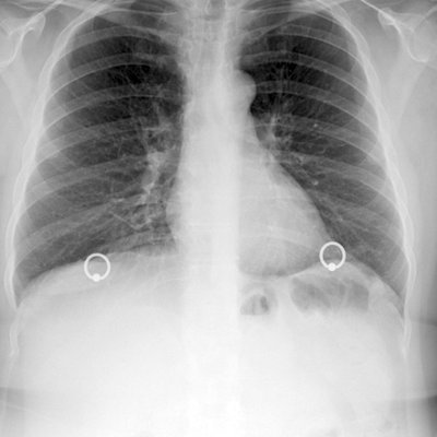 Avatar for Butch Hattrick ⚧️