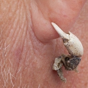 Avatar for Rainer "friendica" Sokoll