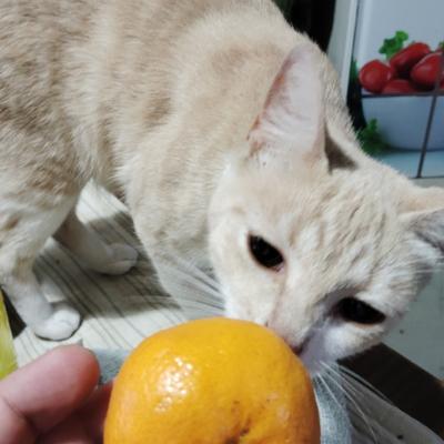 Avatar for Diego Martínez (Kaeza) 🇺🇾