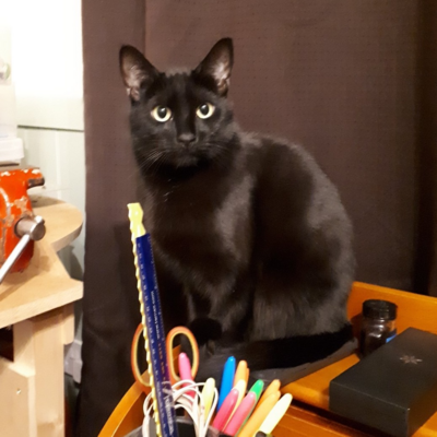 Avatar for Tilda Moose, citizen