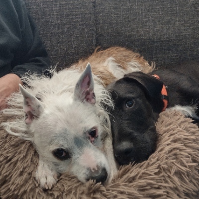 Avatar for Just Tired