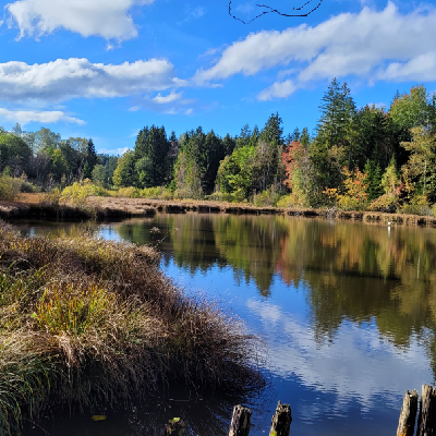 Avatar for GEDANKENTaenze