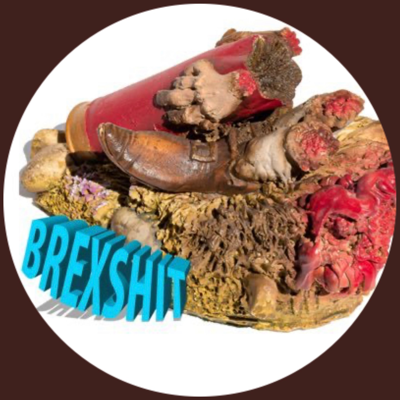 Avatar for H4Heights 🇪🇺🇵🇸🇺🇦🇨🇦