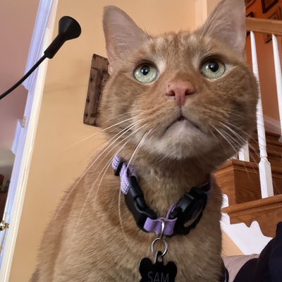 Avatar for Paul Chernoff