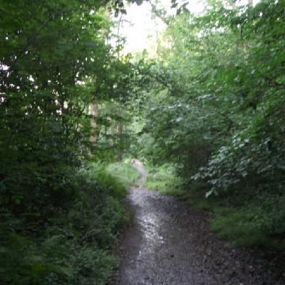 Avatar for Mark Burton