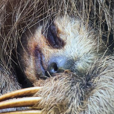 Avatar for DecentraSphere